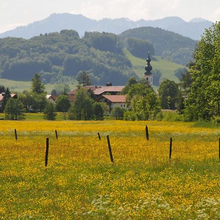 Ferienwohnungen Im Alpengaestehaus Marzoll - Bad Reichenhall Exterior photo